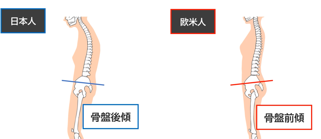 なぜ日本人と欧米人で姿勢や身体能力に違いがあるのか