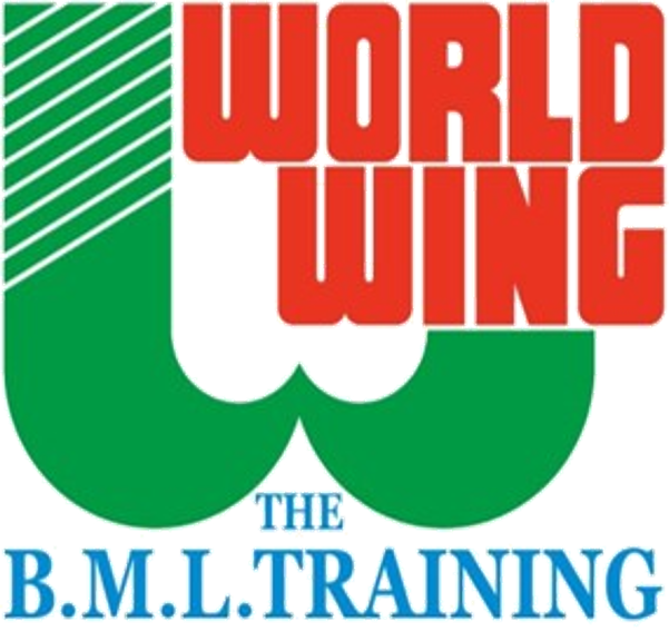 WORLD WING / THE B.M.L.TRAINING
