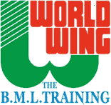 WORLD WING
